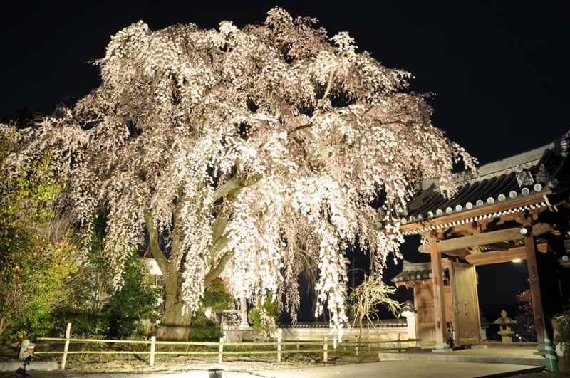 津山珈琲倶楽部 津山昔写真 城下町津山のたたずまい～城東のまちなみ