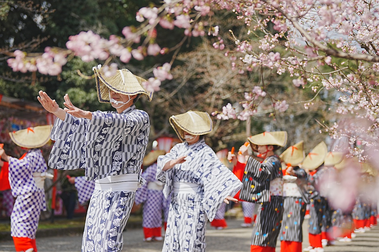 桜の開花とともに幕開け。春はつやま-2025津山さくらまつりが