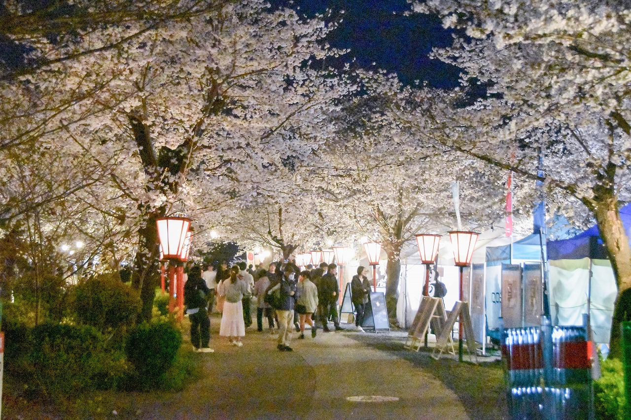桜と花火が織りなす夢の共演。津山さくらまつり開催中 | 津山市公式サイト
