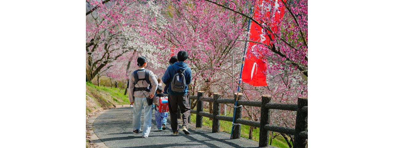 早春の里 早春の里山を彩る2000本の梅～「梅まつり」 | 津山市公式サイト