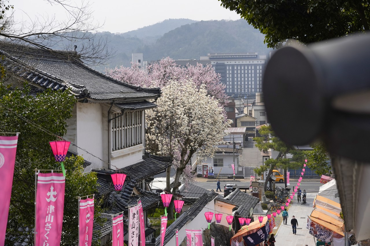心踊る春到来！―春はつやま2026津山さくらまつりが開幕しました | 津山