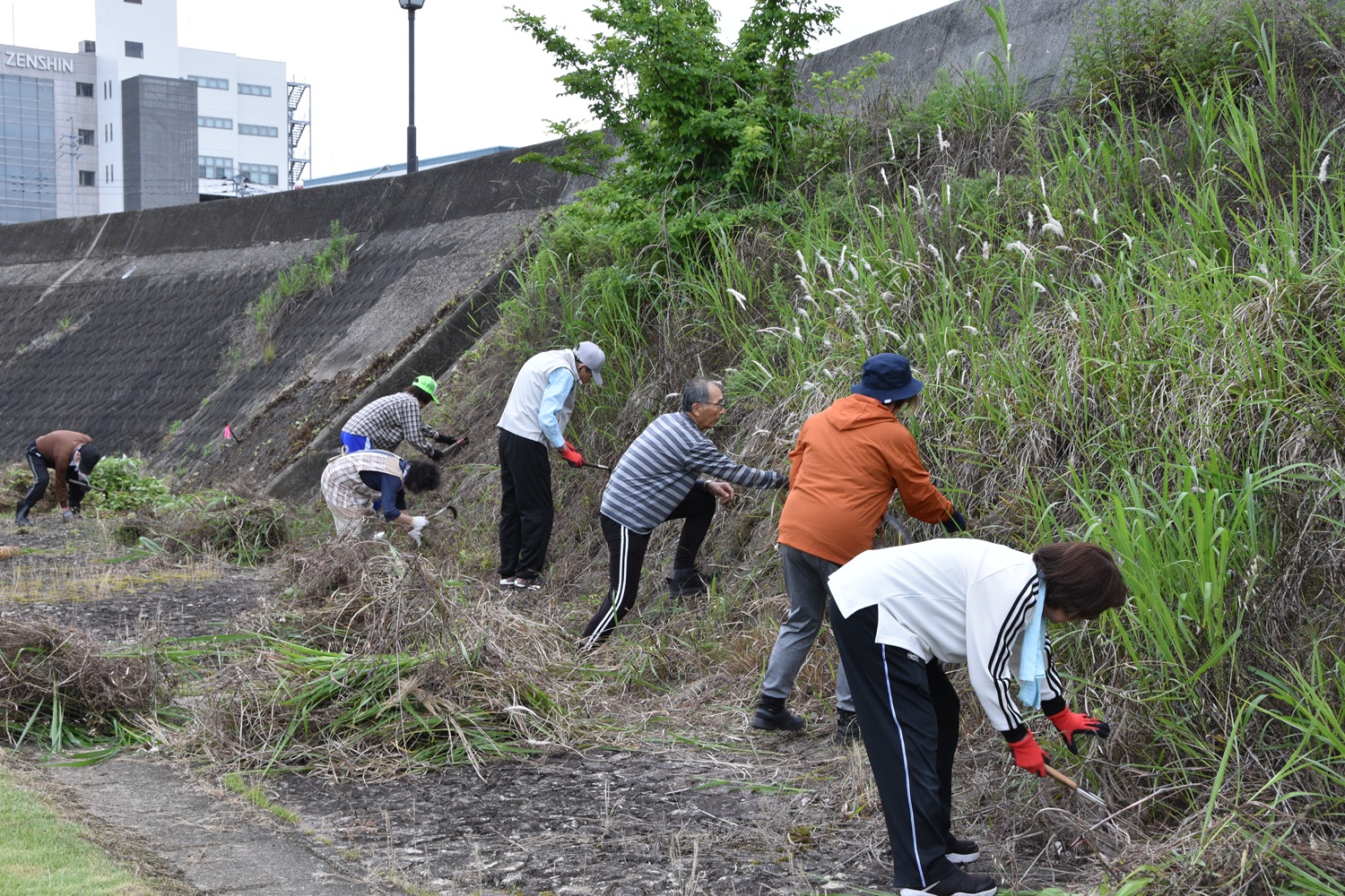美しいまちづくりを地域の力で－第54回河川清掃を行いました | 津山市